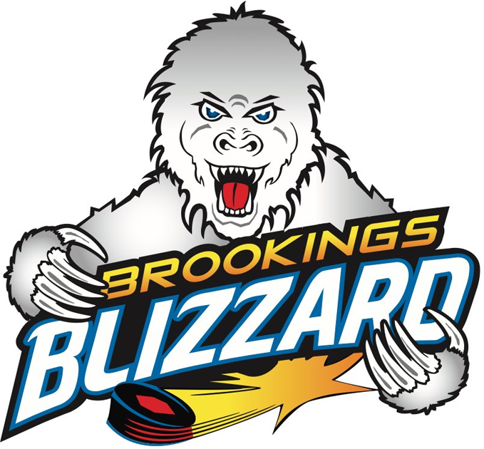 brookings blizzard 2012-pres primary logo iron on heat transfer